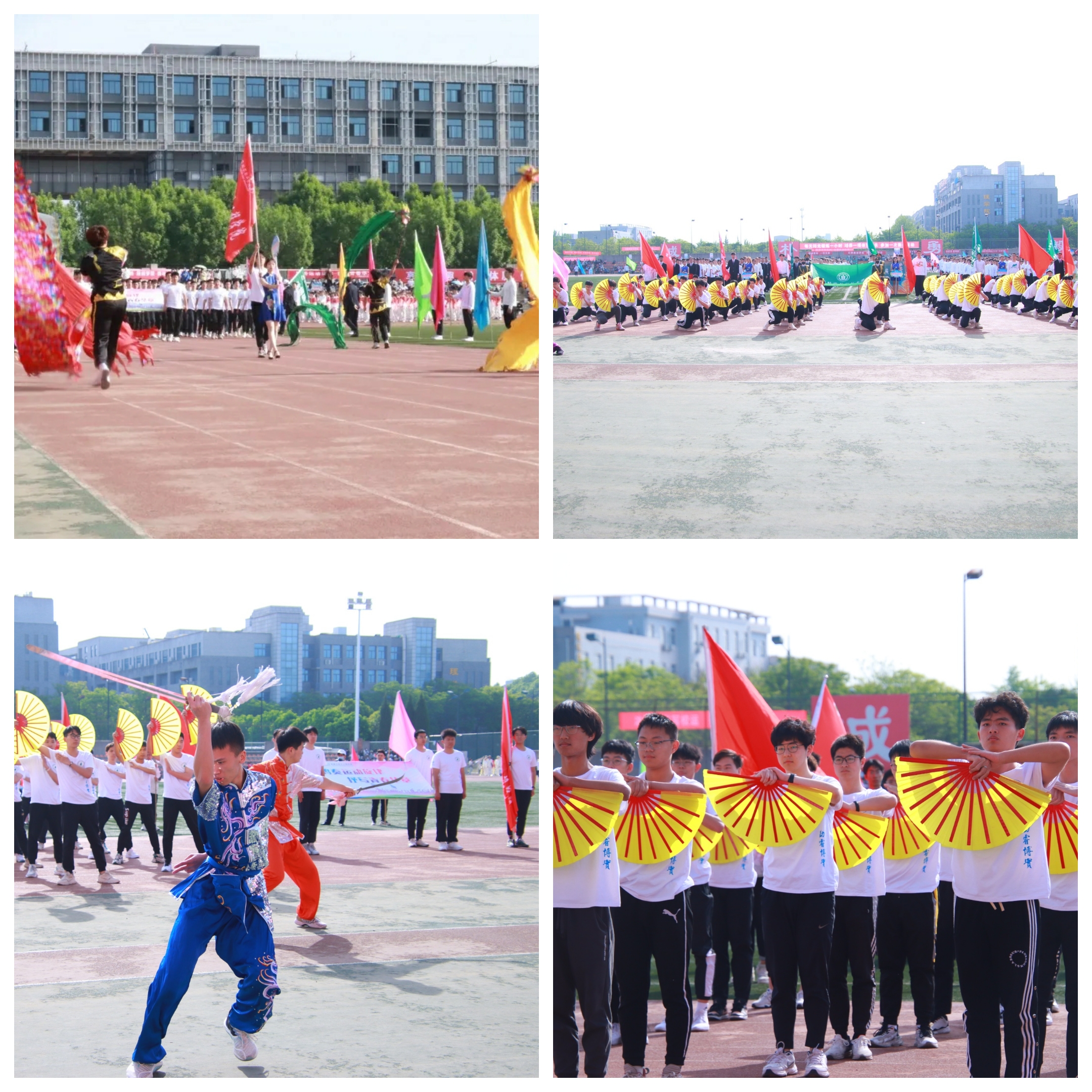 a249fc262978496ab8fbf19c58d4bfa8.jpg
