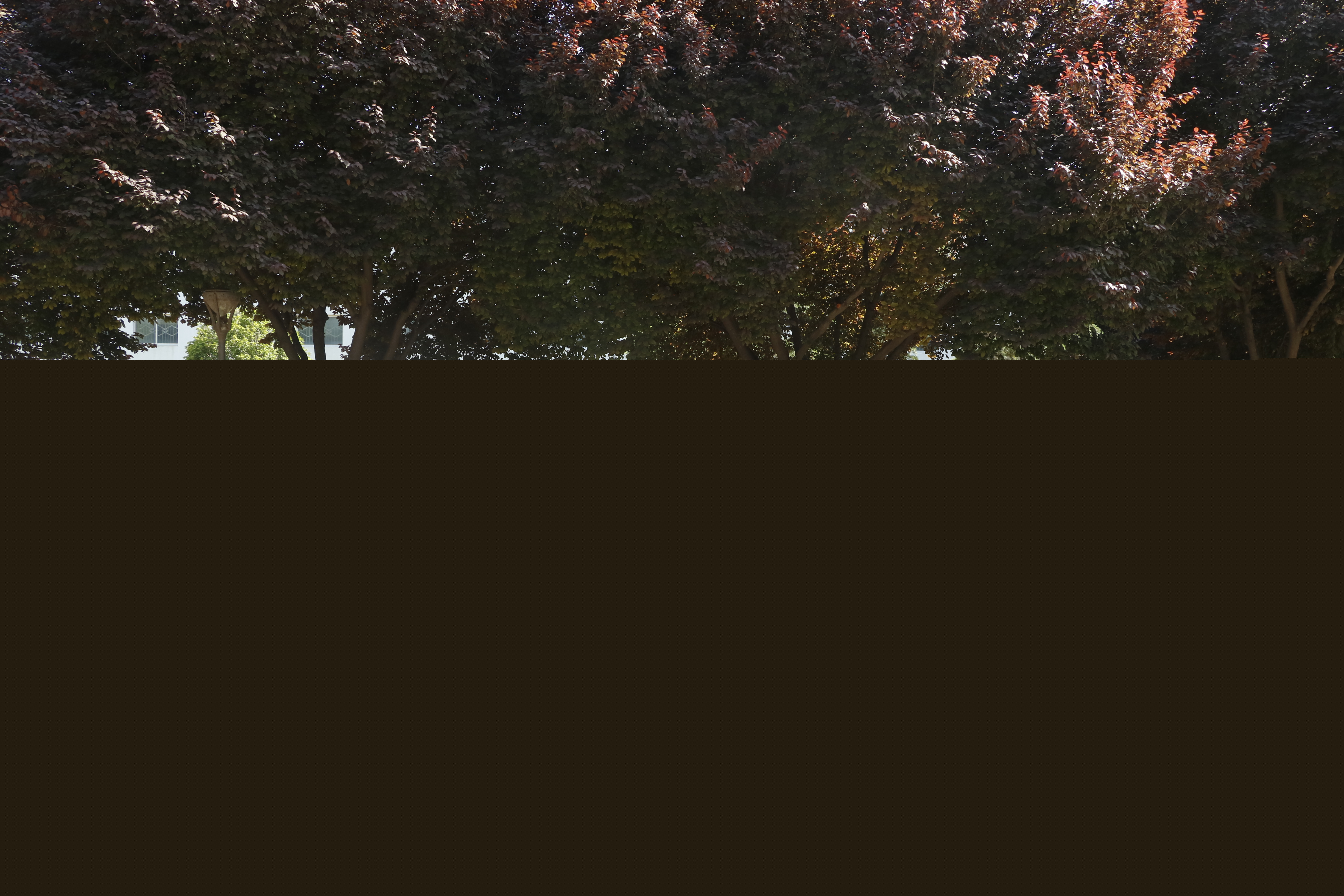 480cde67d4dd4b058a2d30347c0761f9.jpg